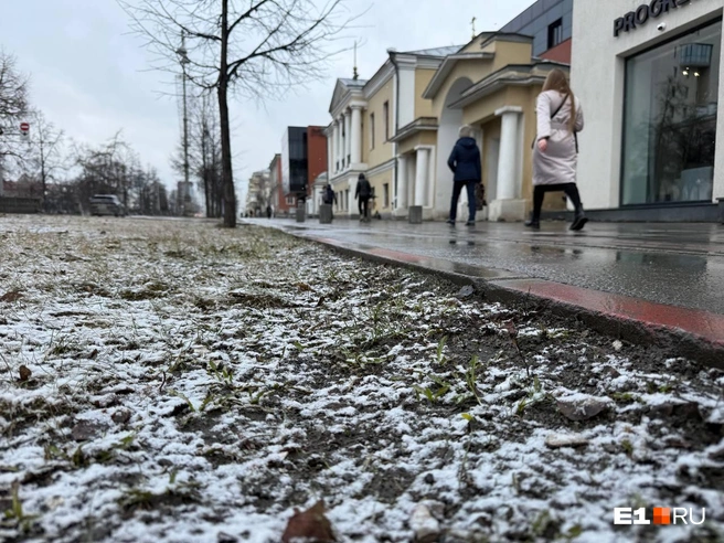 Снег падает на землю и моментально начинает таять | Источник: Анастасия Баранова / E1.RU