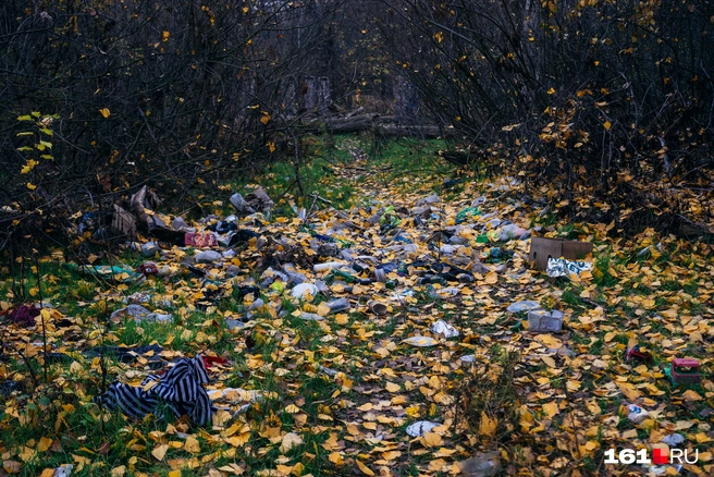 Источник: Евгений Вдовин / 161.RU