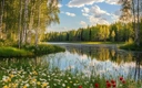 Народный календарь на 18 мая 2025 года: что можно и нельзя делать, приметы и праздники