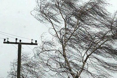 В Забайкалье 25 февраля ожидается сильный ветер