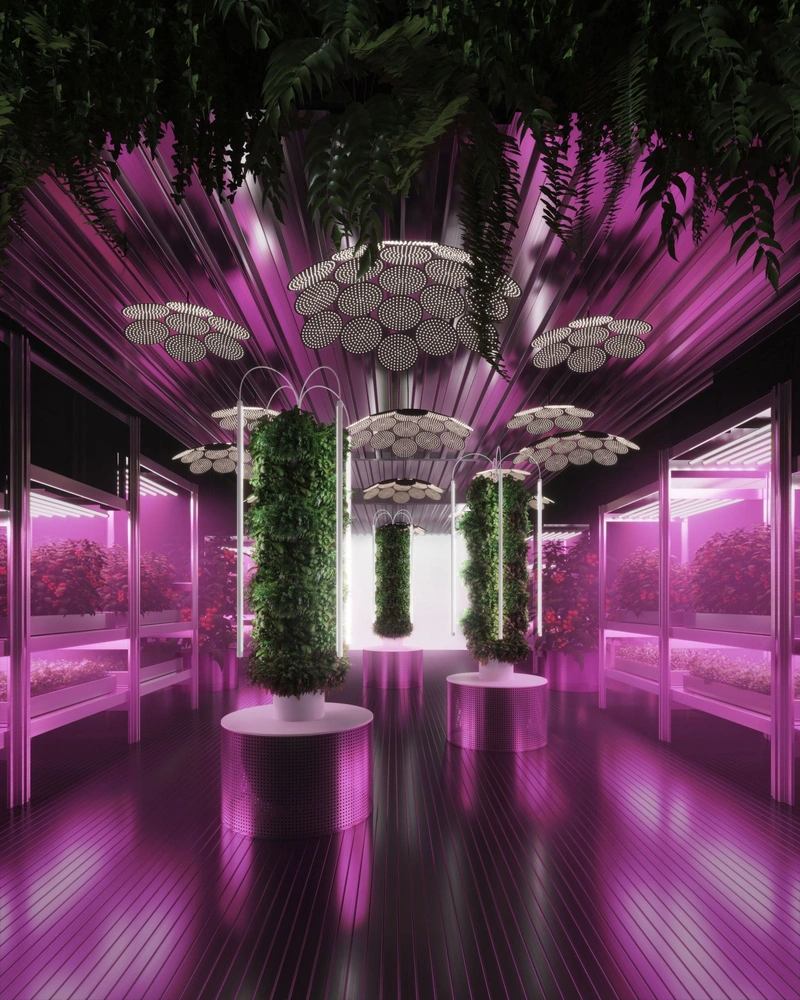 RHS Chelsea Flower Show 2019: сад будущего Тома Диксона и ИКЕА (фото 0)