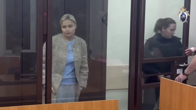 Анна Хоботова в суде | Источник: СК Московской области
