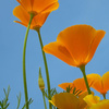 userpic__NannyPlum