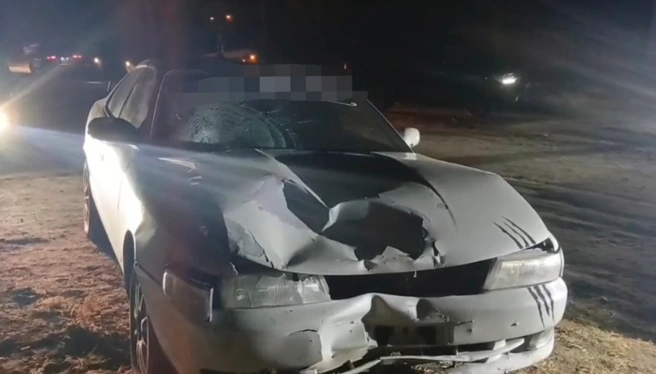 Toyota Chaser насмерть сбила двух человек в Борзе | Источник: Госавтоинспекция Забайкалья
