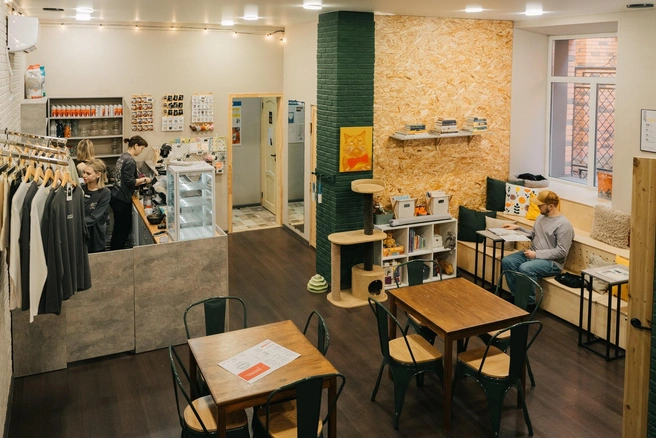 Дизайн котокафе и мерча продумывает Светлана Пальчунова | Источник: Котокафе «Мурчим» / Vk.com