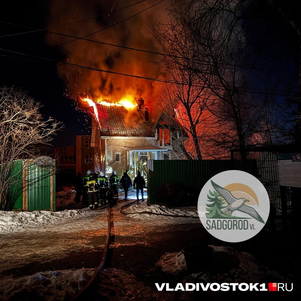 Источник: Садгород VL • Новости и события пригорода Владивостока