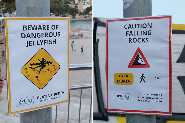 «Остерегайтесь медуз» — и несколько слов по-каталански: что за странные плакаты повесили на пляжах Майорки