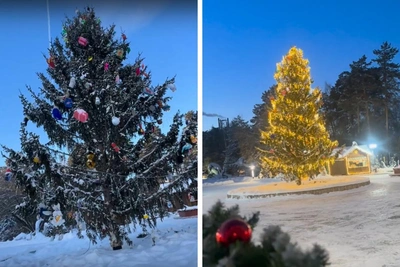 В Новосибирском зоопарке нарядили новогоднюю елку