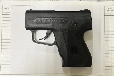 Участник суда пытался пронести «Добрыню» в Кадошкино