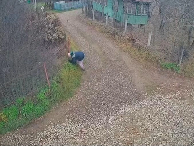 Жительница бросила животных на соседнем участке | Источник: пресс-служба администрации Зеленодольского района