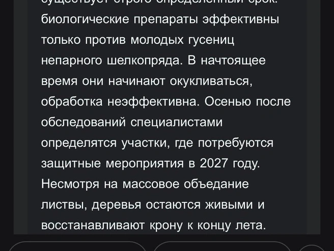 По словам властей, обработка сейчас неэффективна, так как гусеницы окукливаются | Источник: предоставила собеседница 72.RU