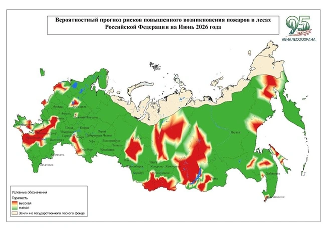 Источник: Пресс-служба Федеральной Авиалесоохраны