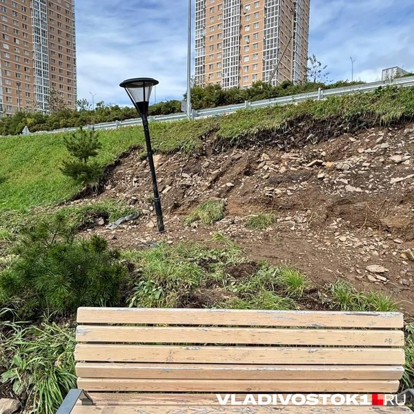Источник: Елена Буйвол / VLADIVOSTOK1.RU
