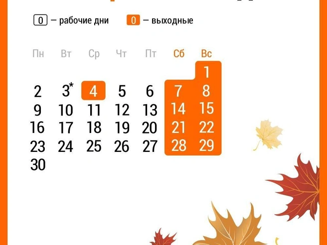 Источник: Дмитрий Гладышев / 72.RU 