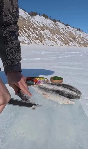 Ряпушка на льду | Источник: fedor_nogovitsyn / Instagram (экстремистская организация, деятельность запрещена на территории РФ)