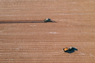 В Забайкалье проверено почти 46 тысяч тонн зерна с 2025 года