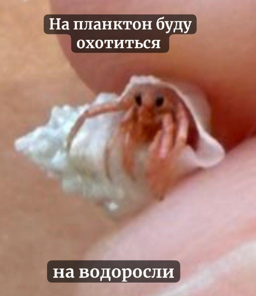 Источник: Соцсети