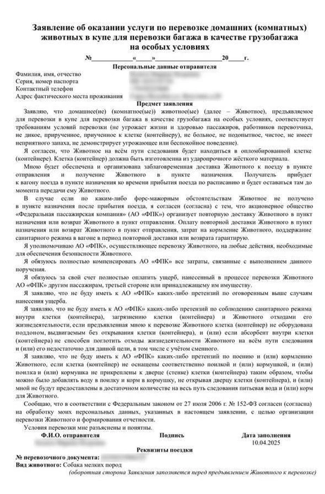 Источник: зооволонтер Марина