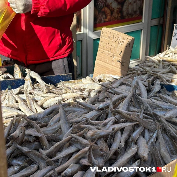 Источник: Елена Буйвол / VLADIVOSTOK1.RU