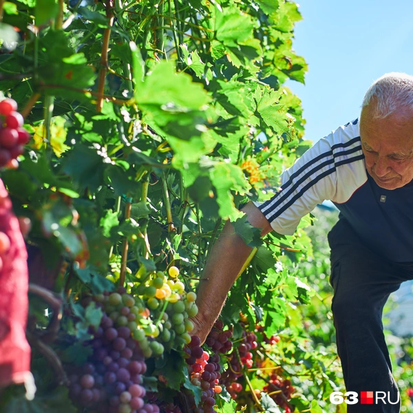 Источник: Роман Данилкин / 63.RU