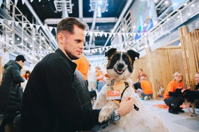 В Краснодаре пройдет фестиваль помощи животным WOOF
