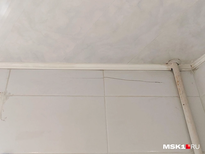 Источник: Михаил Мечев / MSK1.RU