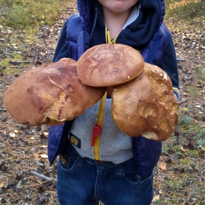 Красавцы!  | Источник: Максим Яковинов / «ВКонтакте»