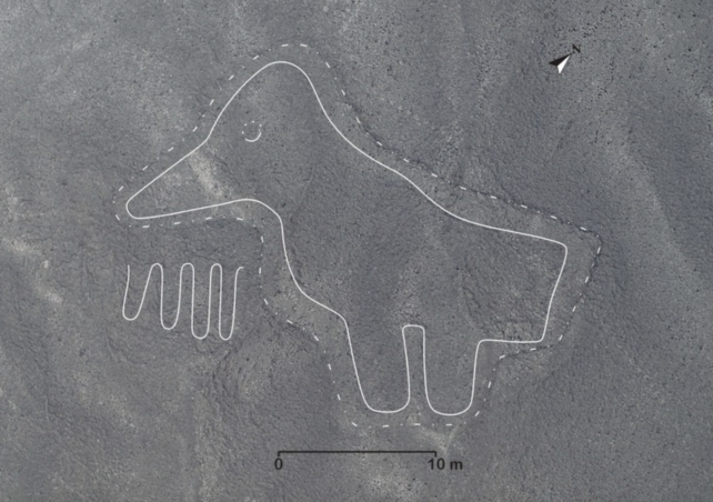 Гомер Симпсон, его кот и птица: в пустыне Наска нашли 168 новых геоглифов