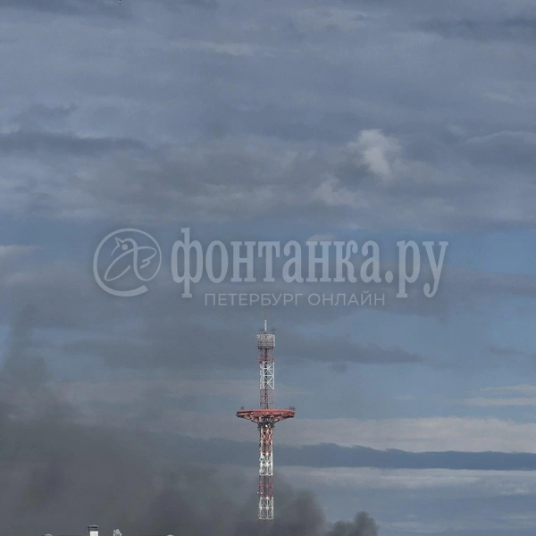 Источник: читатель «Фонтанки»