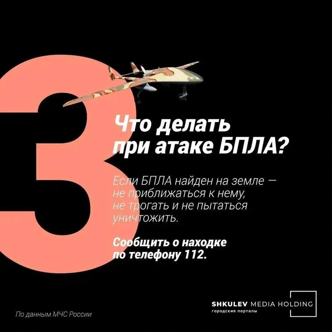 Источник: Полина Авдошина