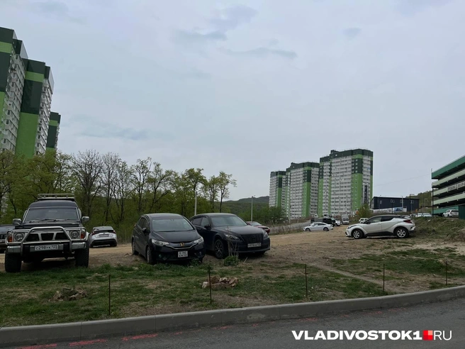 Источник: Алиса Князева / VLADIVOSTOK1.RU