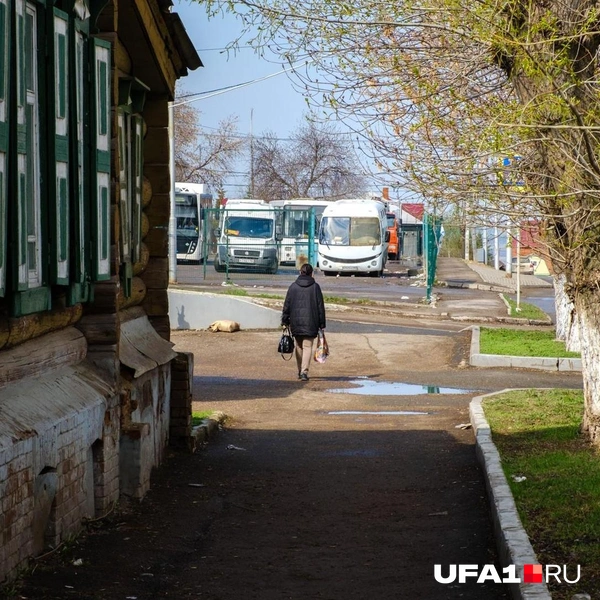 Источник: Булат Салихов / UFA1.RU