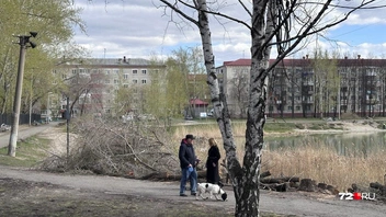 Площадки для выгула собак тоже больше нет, увы | Источник: 72.RU