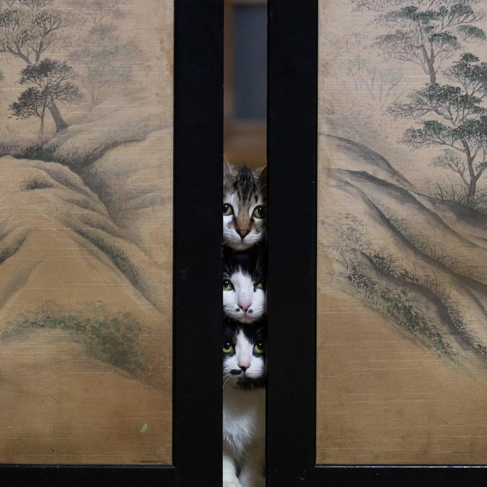 Главное — делать всё синхронно | Источник: okirakuoki / Instagram (экстремистская организация, деятельность запрещена на территории РФ)