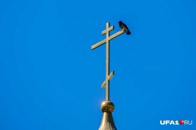И вороны на крестах сидят | Источник: Булат Салихов / UFA1.RU