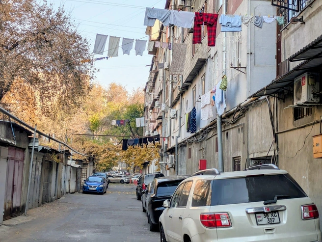 Будто в Сочи оказался | Источник: Оксана Витязь / SOCHI1.RU