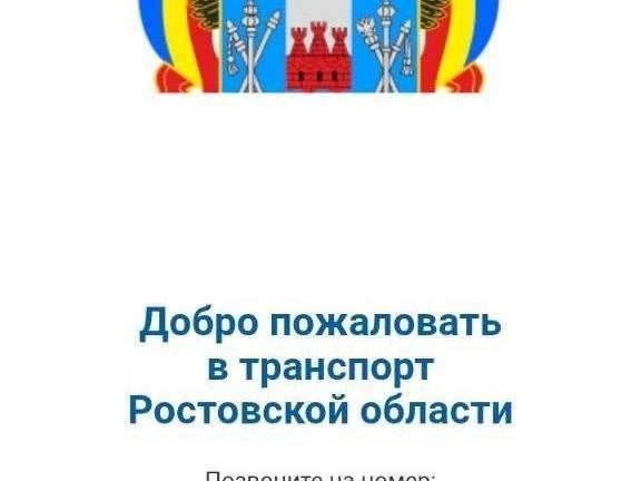 Источник: Ксения Сухоленко / 161.RU