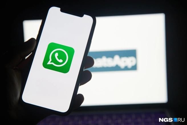 У мессенджера было время наладить взаимодействие с властями | Источник: Александр Ощепков / NGS.RU