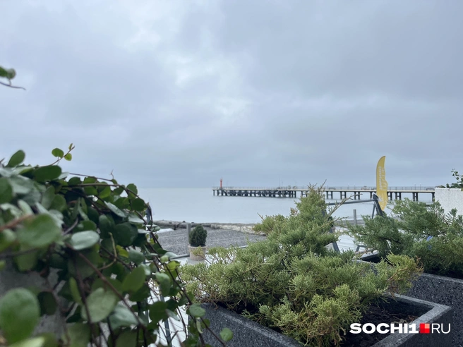 Строительство отложили до принятия ПЗЗ | Источник: Анна Грицевич / SOCHI1.RU