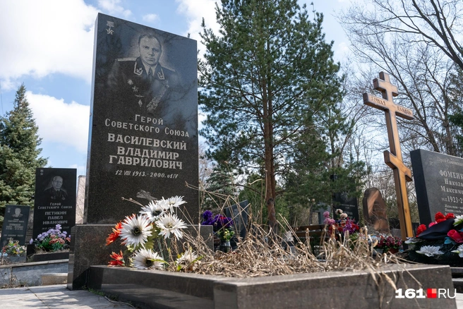 Источник: Евгений Вдовин / 161.RU