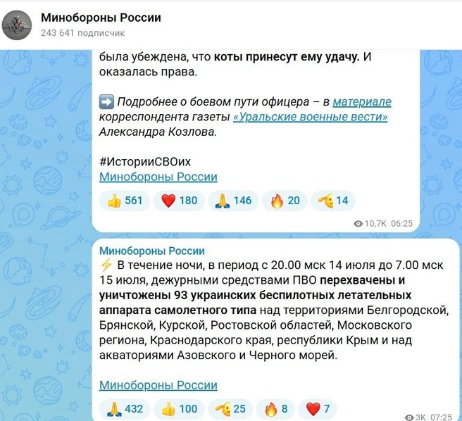 А в Воронежской области, оказывается, всё спокойно | Источник: Минобороны России / max.ru