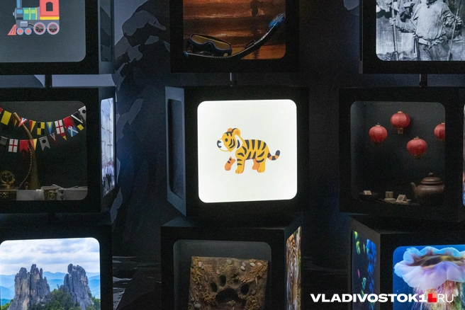 Источник: Елена Буйвол / VLADIVOSTOK1.RU