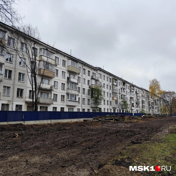 Источник: Игорь Мещанев / MSK1.RU