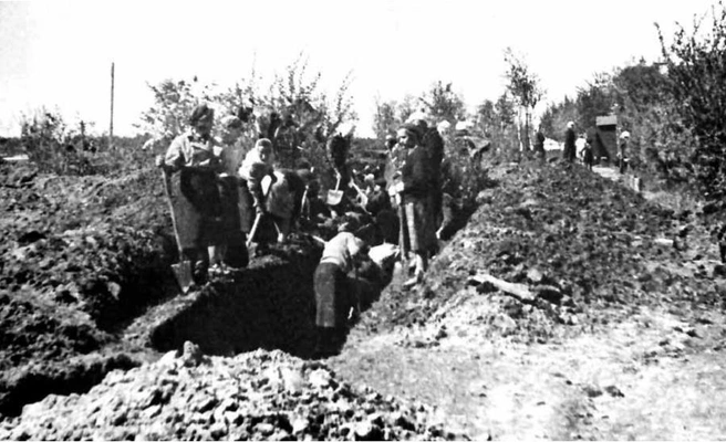 Рытье окопов. Набережная Архангельска | Источник: «Архангельск 1941&nbsp;— 1945» (Архангельск, 2020)