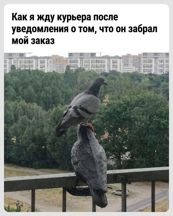 И так каждый раз | Источник: Городские медиа