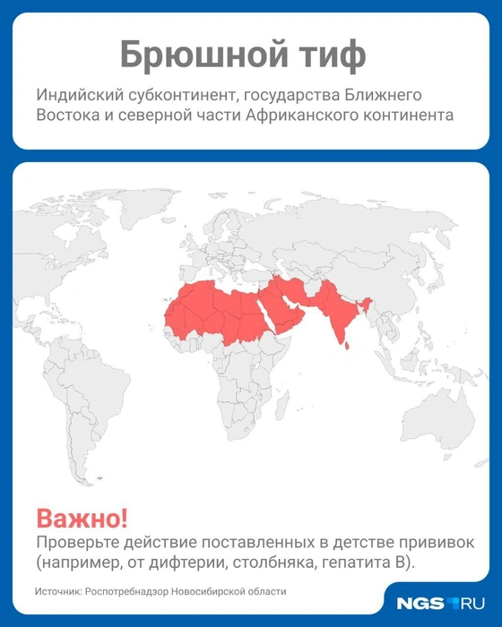 Попадание инфекции в кровь совпадает с началом лихорадочного периода. В крови микробы не размножаются, но ее током разносятся в другие органы, в том числе в печень, селезенку, лимфатические узлы | Источник: Юрий Орлов / Городские медиа