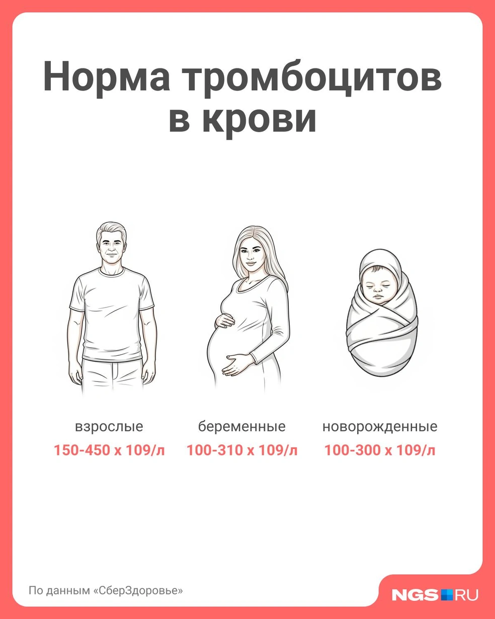 Источник: Юрий Орлов / Городские медиа