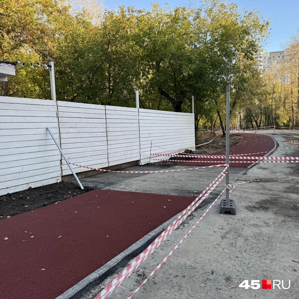 Источник: Юлия Король / 45.RU