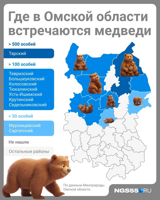 Источник: Полина Авдошина / Городские медиа