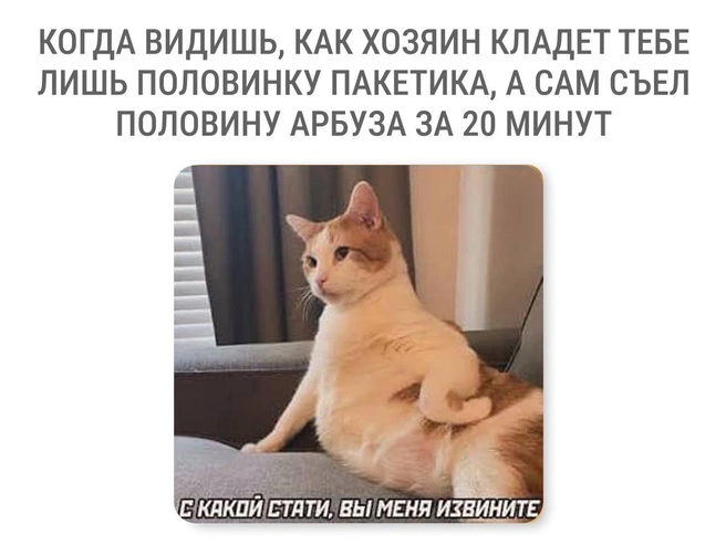 Несправедливо | Источник: Мария Романова / Городские медиа